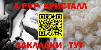 сатива Можга