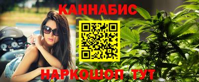 сатива Можга