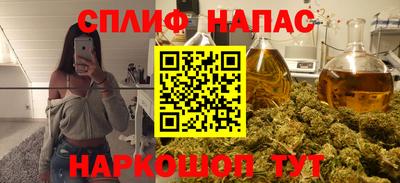 сатива Можга