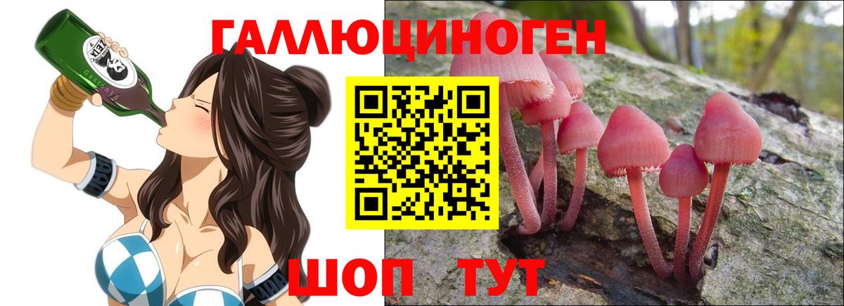 Чайковский  Псилоцибиновые грибы Psilocybe  Псилоцибиновые грибы Psilocybine cubensis  Вход с VPN 